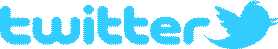 logo_twitter_withbird_1000_allblue.png