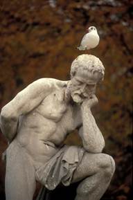 thinker-w-pigeon-on-head.jpg